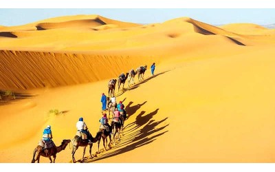 19 Nights 20 Days Rajasthan Tour