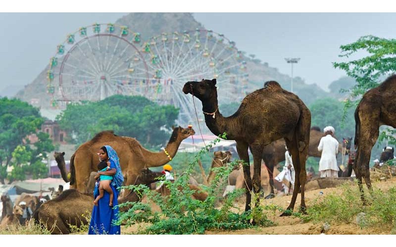 12 Nights 13 Days Rajasthan Tour