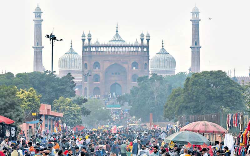 Half-Day Old Delhi Sightseeing Tour with Local Tour Guide