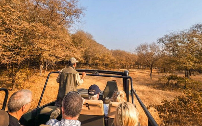 Ranthambore Tiger Safari Adventure Tour with Golden Triangle Cities