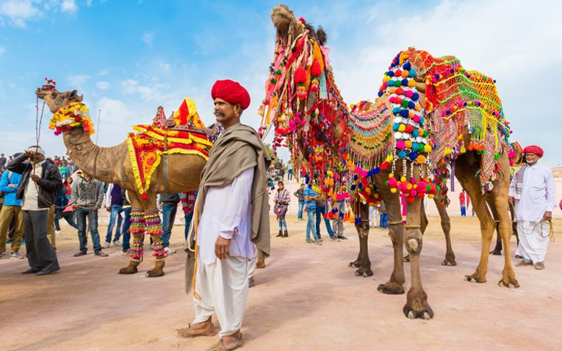 Jaipur City Tour with Pushkar